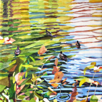 Duck Pond 6 Harold Berglund 2011 54x54 cm. oil